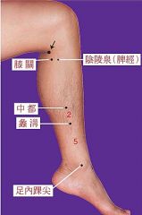 大腿与小腿成90度角)(一至),膝盖内侧横纹端(二至),筋之凹陷处(三至)