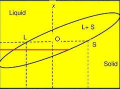 La composición del líquido corresponderá al valor en la composición de la intersección de la línea del liquidus con la línea LS. Mientras que la composición del sólido corresponderá al valor  de la composición de la intersección de la ...