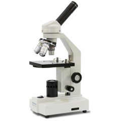 Microscope