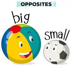 Big is much more common than large the word large is a little more former but in many sentences it makes no difference.
