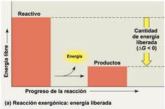 G = Energía de los productos - energía de los reactantes