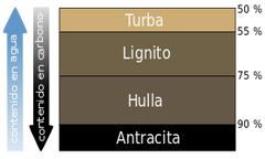 Se encuentra el Carbón Sapropélico (Turba), el Lignito,  el Carbón sub-Bituminoso, luego el Bituminoso y por último la Antracita. Estos tipos de carbón se diferencia por el grado de diagénesis/metamorfismo que presentan, este va aumentando d...