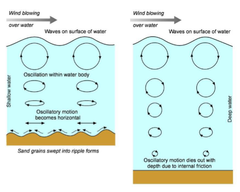 Un ripple normal estaría siendo formado por el flujo que transporta los sedimentos, mientras que un ripple de ola se formaría por la extensión en profundidad del movimiento de la ola superficial que reduce su oscilación en profundidad. El ripp...