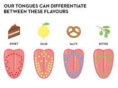 Femoral tastes can also be described by category or by the sensation they cause in your mouth a bitterflavourl avsour flavour a sweet taste.