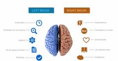 Left and Right brain