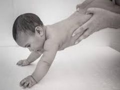 11 - Paracaidista
ESTIMULO - Aparece mas o menos a las 6-9
meses de edad. En posición de 
cubito prono se posiciona al 
bebe suspendido en el aire 
cerca de una superficie. 
REACCION - Se extienden los brazos (se 
ponen las manos) y el cuerpo en ...