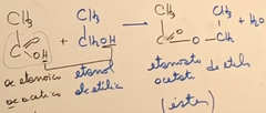 Ac. etanoico + etanol