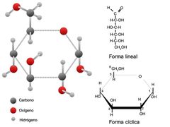 glucosa