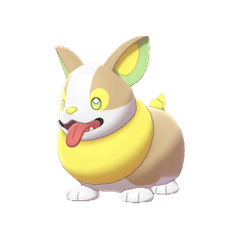 Yamper: It has a very good sense of smell and loves to sniff other Pokémon.