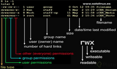Podemos observar la lista de archivos de nuestro directorio actual con información un poco más detallada.
El primer campo nos indica los diferentes permisos para cada archivo o directorio. Por ejemplo: -rwxrw-r--.
