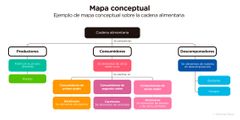 MAPAS CONCEPTUALES