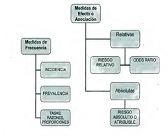 - Es la proporción de individuos de un grupo o una población que presentan una característica o un evento determinado (por ejemplo, una enfermedad). Es la frecuencia de casos de enfermedad en una población y en un momento dado.
- Refleja la ma...