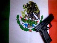 ¿Qué articulo nos habla de tener armas en casa?