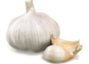 Garlic