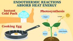 endothermic is a    chemical reaction that absorbs heat from the surroundings and     making them feel cooler 