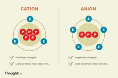 an anion is when the element has lost an electron which makes it a negatively  charged element 