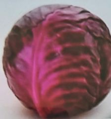 Red Cabbage