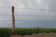 (n) wire fencing, especially barbed; also electrical wiring
