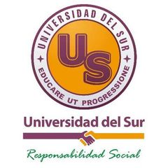 Universidad del Sur

Psicología Organizacional
3er Cuatrimestre