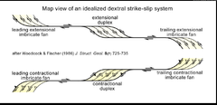 6.- Por presencia de codos y traslapes se suelen ver duplex transcurrentes (horse de roca en planta), si este es encuentra en condiciones extensionales con desarrollo de fallas normales, se genera una cuenca de pull apart (en planta se ve como sig...