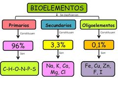Bioelementos Primarios.
(N.A.)