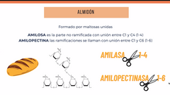 -  Amilasa part en 1-4
-  Amilopectina parte en 1-6
-  Formado por maltosas unidas