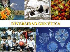 Diversidad de genética