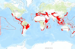 	Puntos calientes de biodiversidad  “Hot-spots”