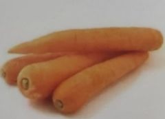 loose carrot 