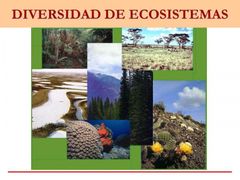 DIVERSIDAD DE ECOSISTEMAS