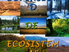 La diversidad de ecosistemas expresa la cantidad y distribución de los sistemas ecológicos que ofrecen las condiciones específicas para que las especies y sus poblaciones se desarrollen, a través de múltiples interrelaciones de las especies c...
