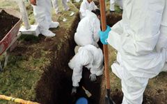 Exhumación