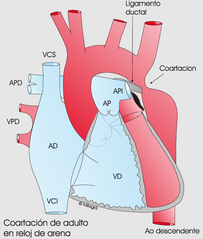 flashcard's-image