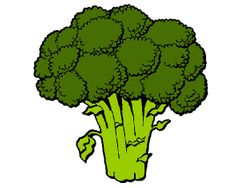 Italiano 




Brócoli