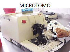 Tercer paso en la preparación de un tejido.

Puede ser por congelamiento o congelación-desecación

Obtención de cortes de espesor muy fino (3 a 5 micrómetros), para su observación al microscopio. 

Se realiza con el micrótomos.  

Después ...