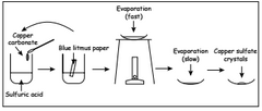 Explain how litmus paper could be used during the process described to show the 
salt being produced is neutral.