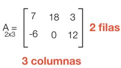 el orden de la matriz lo determina el numero de de filas y de columnas de una matriz