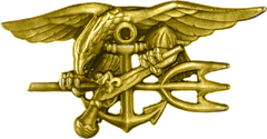 A gold embroidered or gold metal pin with an eagle holding a trident and a handgun, in front of an anchor.