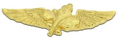 A gold embroidered or gold metal winged pin with a supply corps oak leaf in the center.