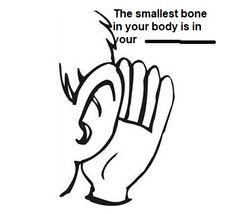 The smallest bone in your body is n your