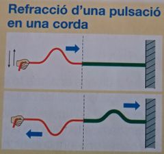 La pulsació refractida té unes característiques diferents. 
Una  part de la pulsació és reflectida