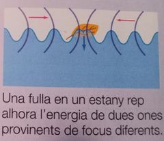 Una fulla en un estany rep alhora l'energia  de dues ones provinents de focus diferents