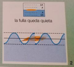 L'energia provinent de les dues ones es resta i la fulla no es belluga.