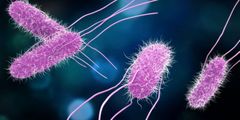 ¿Qué son las bacterias?
 Algunas de ellas poseen una acción beneficiosa y, por ejemplo, contribuyen al buen funcionamiento de nuestro sistema digestivo, ayudándonos a procesar y obtener los nutrientes de los alimentos. Igualmente, algunos tipo...