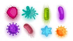 ¿Cómo se transmiten los virus y bacterias?
-Contacto directo, -Contacto indirecto, Por vía aérea, Por contaminación de agua o alimentos.Por parásitos o artrópodos.