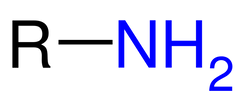 El átomo de nitrógeno está enlazado a un grupo alquilo.