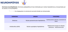 - Oxitocina
- Antidiuretica