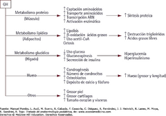 A nivel del hueso, estimula la condrogenesis, el aumento del número de condrocitos, osteoblastos y de los depósitos de calcio y fosforo. Lo que lleva a un aumento en el grosor y longitud del hueso. 
-	A nivel piel, cartílagos y corazón y vísc...