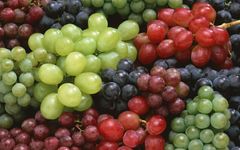 Uvas