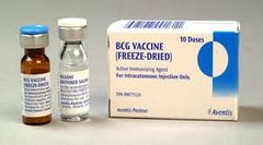 Nombre Genérico: Vacuna Tuberculosis.
Nombre Comercial: BCG TICE, BCG vaccine, BCG (Bacillus de Calmette y Guérin).
Tipo De Vacuna: Vacuna viva y compuesta  de un bacilo atenuado.
Compuesto: Contiene bacilos  derivados de una cepa provenientes d...
